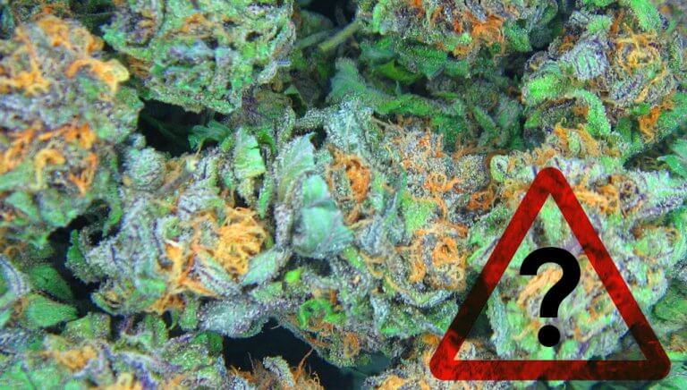 mitos sobre la marihuana