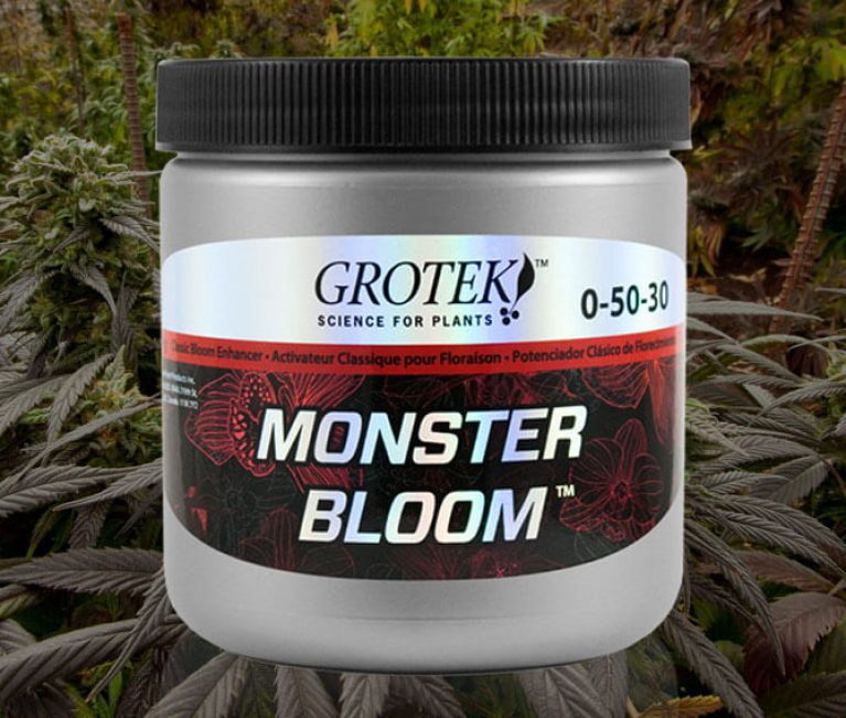 monster bloom