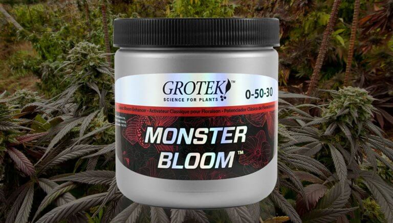 monster bloom
