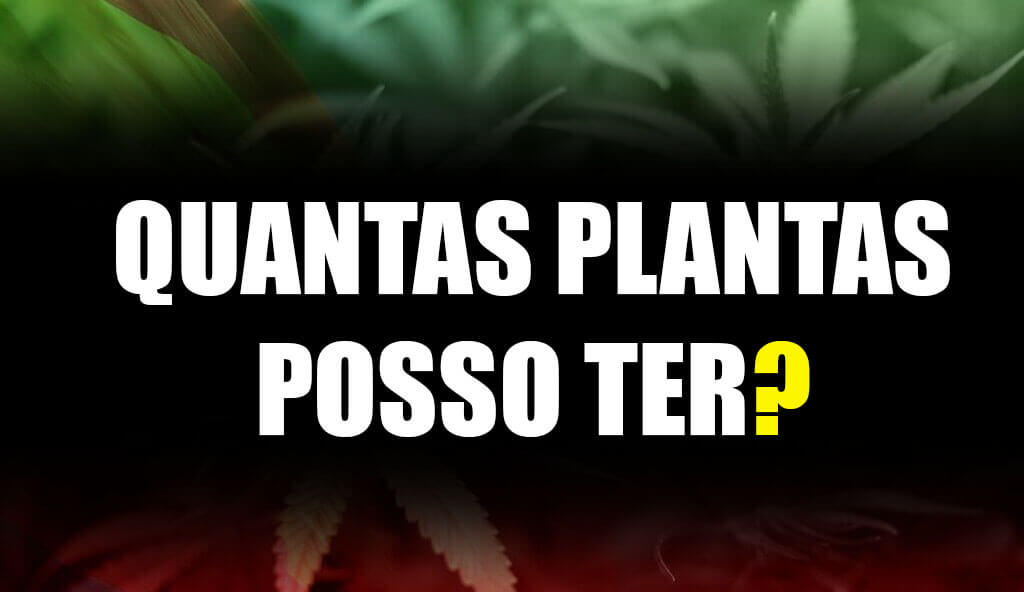 Quantas plantas posso ter?