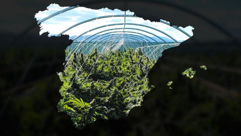 siembra exterior peninsula