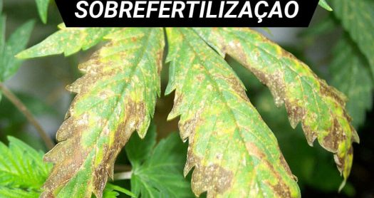 sobrefertilizaçao