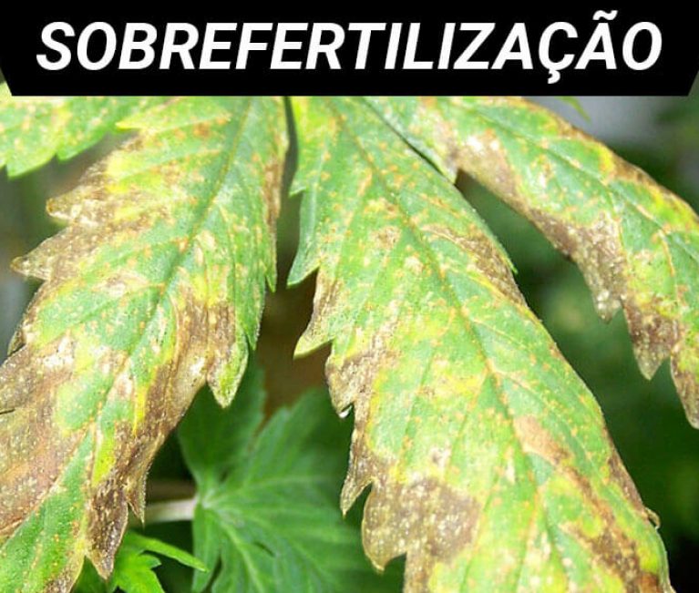 sobrefertilizaçao