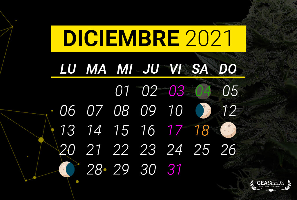 Fechas lunares en Diciembre de 2021