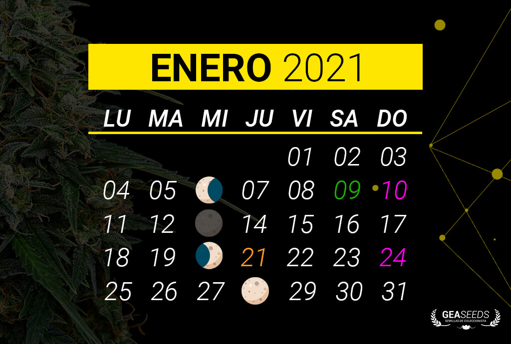 Fechas lunares en Enero de 2021