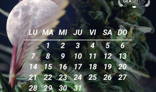Calendario