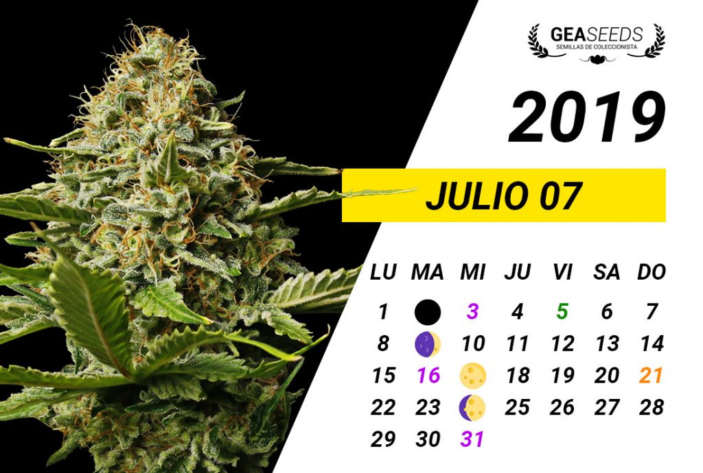 Calendario Julio 2019