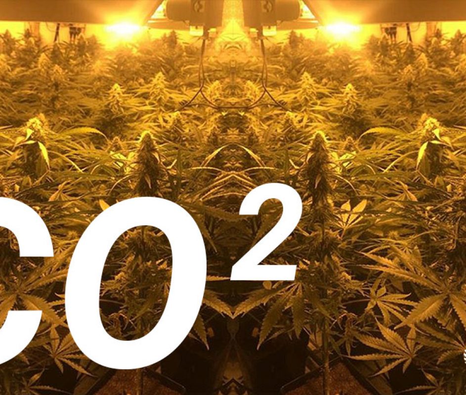 co2