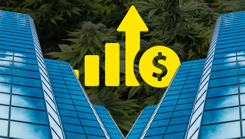 crecimiento industria marihuana