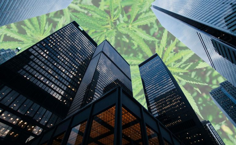 edificios y marihuana