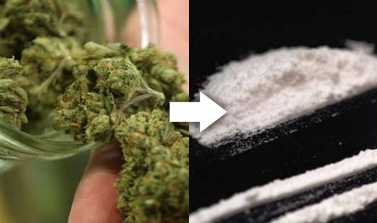 marihuana y cocaina