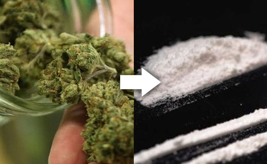 marijuana and cocaine