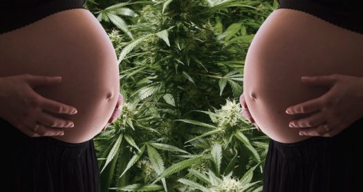 marihuana y embarazo