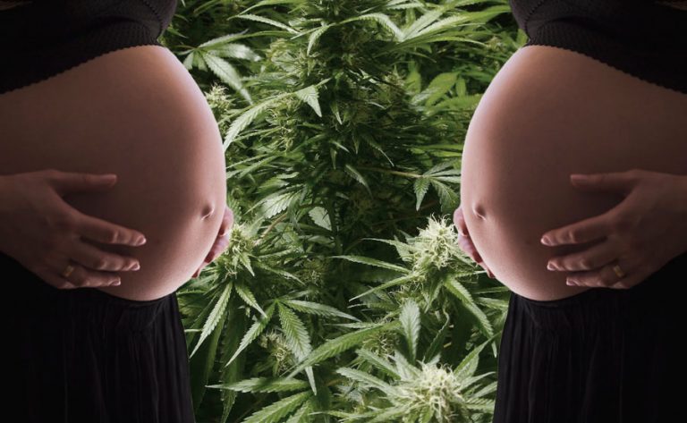 marihuana y embarazo