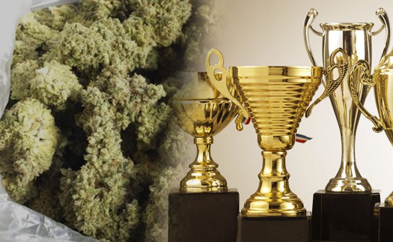 marihuana premio