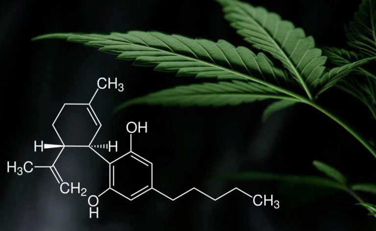 principios activos marihuana