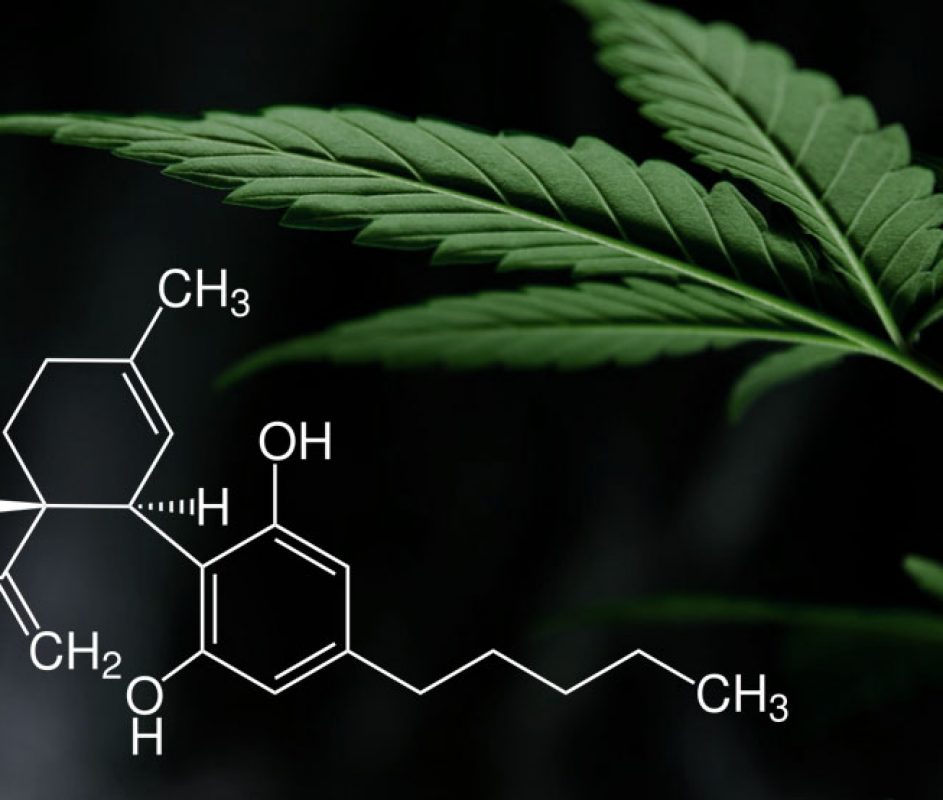 principios activos marihuana