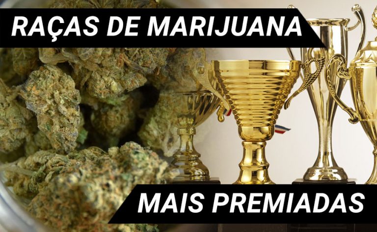 raças premiadas