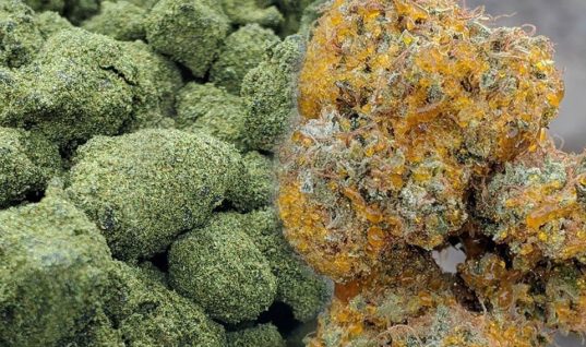MOON ROCKS Y SUN ROCKS DE CANNABIS ¿QUÉ SON?
