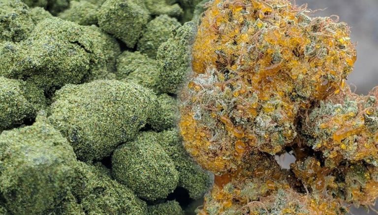 MOON ROCKS Y SUN ROCKS DE CANNABIS ¿QUÉ SON?
