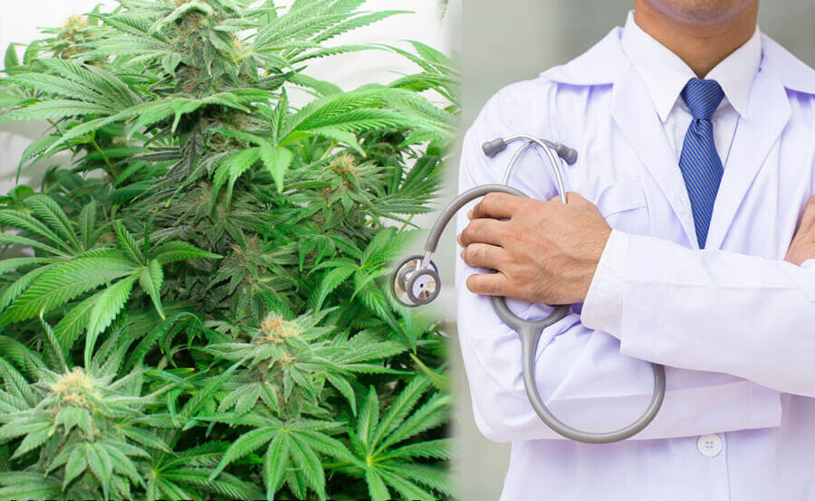 cannabis medico