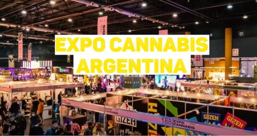 Expo cannabis Argentina con título