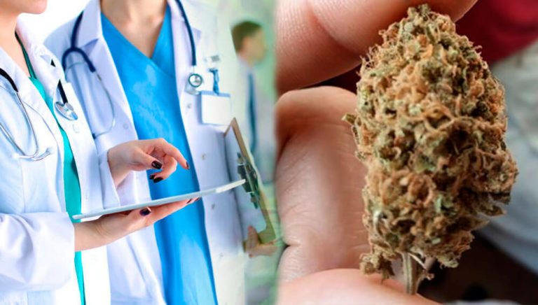 maconha terapêutica