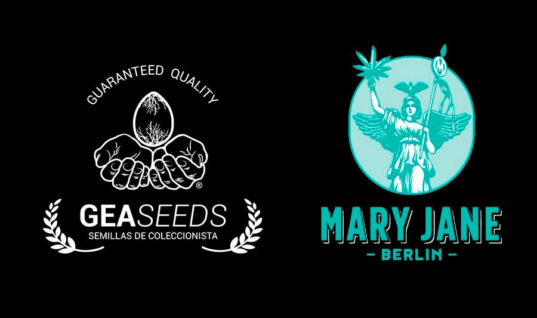 Gea Seeds y la feria de marihuana alemana Mary Jane