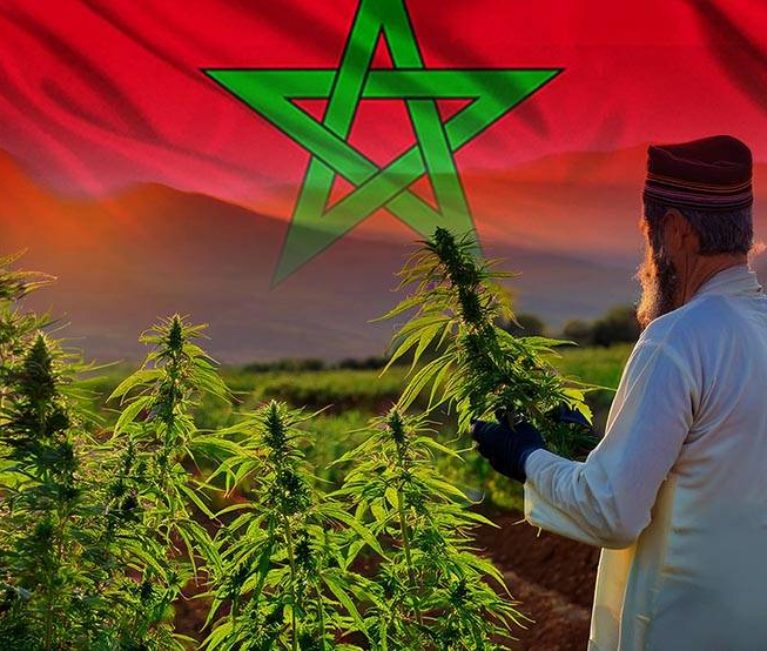 MARRUECOS Y LA MARIHUANA: UNA RELACIÓN HISTÓRICA EN CONTINUO CAMBIO