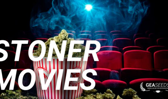 Movies to watch when stoned