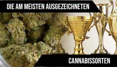 Die am meisten ausgezeichneten Cannabissorten