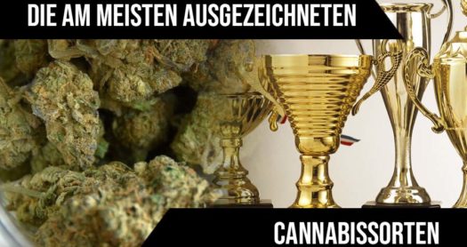 Die am meisten ausgezeichneten Cannabissorten