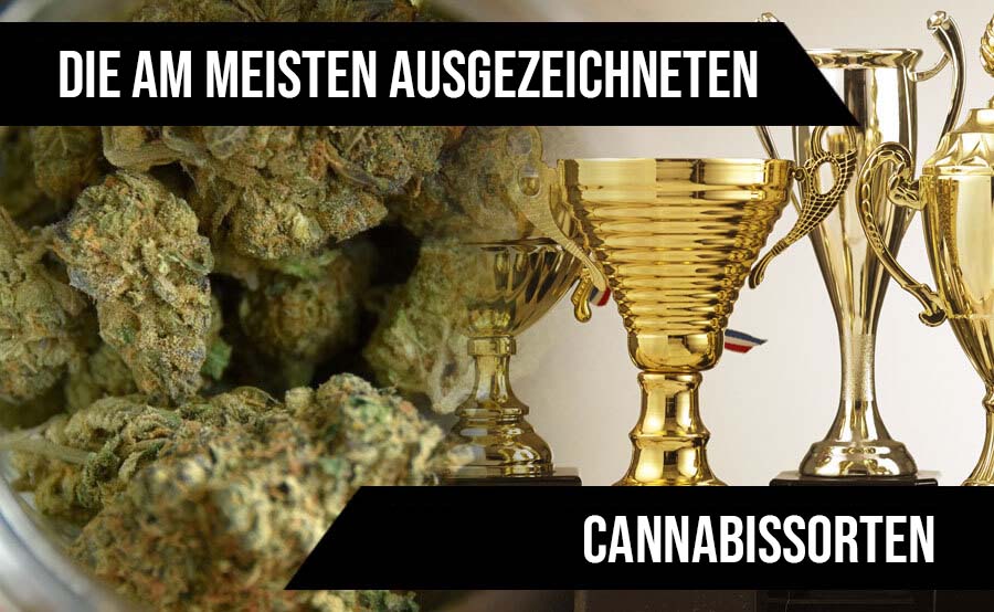 Die am meisten ausgezeichneten Cannabissorten