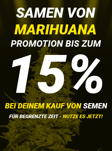 Angebot auf Cannabissamen