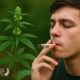 Persona fumando delante de una planta macho de cannabis