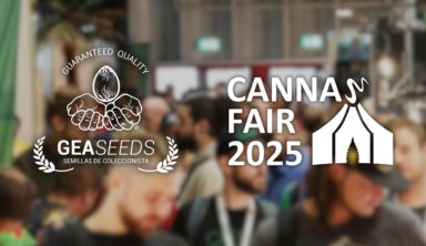 CANNAFAIR DÜSSELDORF 2025 – 8., 9. und 10. August