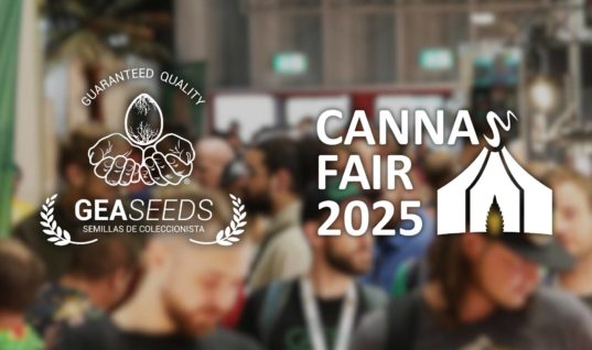 CANNAFAIR DÜSSELDORF 2025 – August 8th, 9th, and 10th