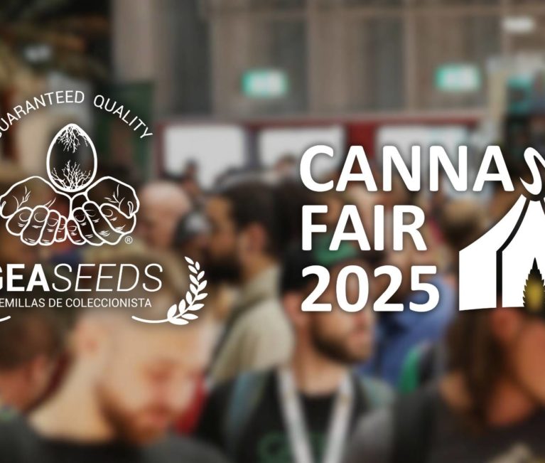 CANNAFAIR DÜSSELDORF 2025 – 8., 9. und 10. August