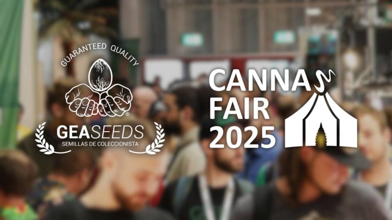 CANNAFAIR DÜSSELDORF 2025 – 8, 9 y 10 de Agosto