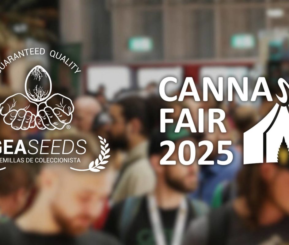 CANNAFAIR DÜSSELDORF 2025 – 8., 9. und 10. August