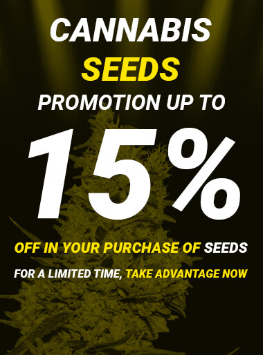 Offer on the purchase of marijuana seeds