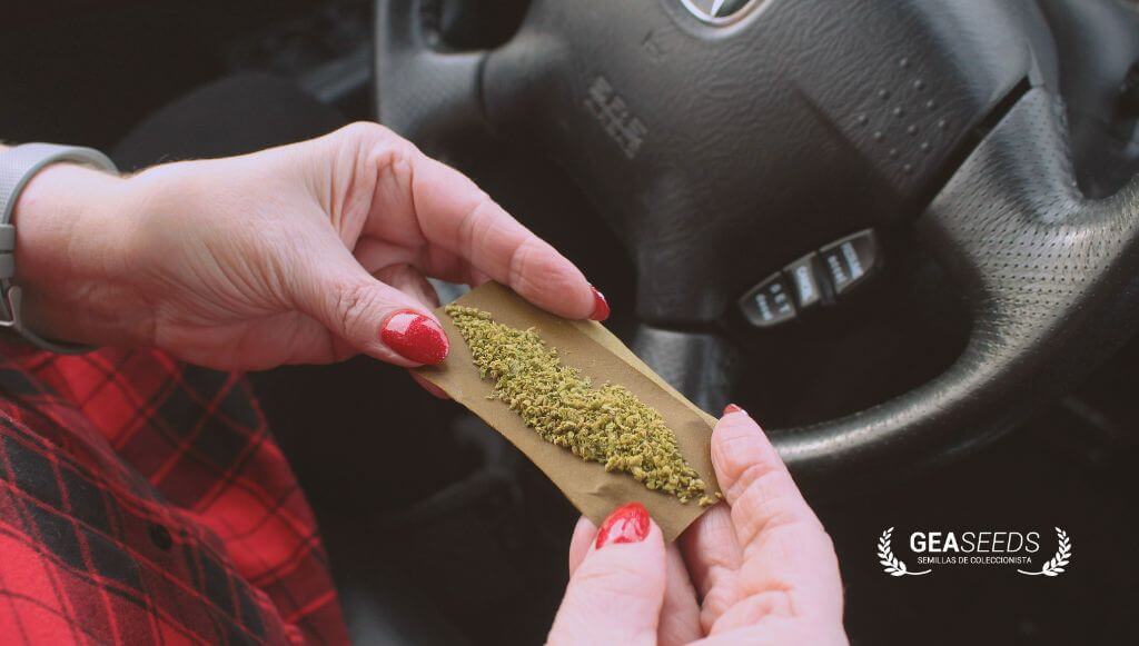 Liándose un porro de marihuana dentro del coche
