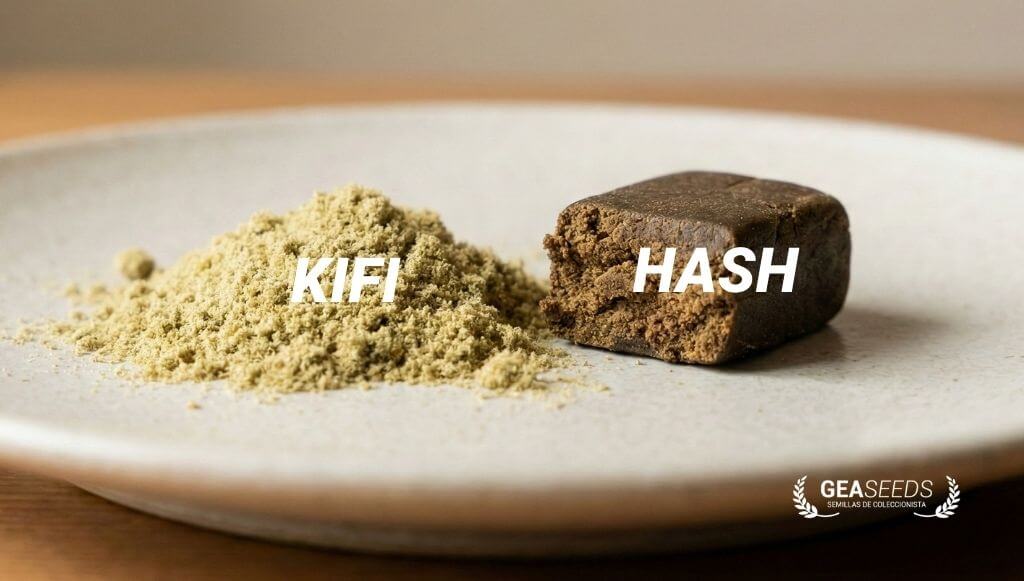 Montaña de Kifi al lado de una piedra de hachís