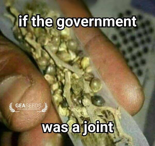 Funny weed meme showing a joint full of seeds with the text if the government was a joint