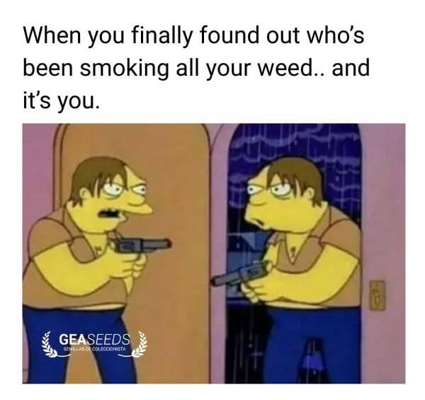 Funny weed meme about realizing you smoked all your weed yourself