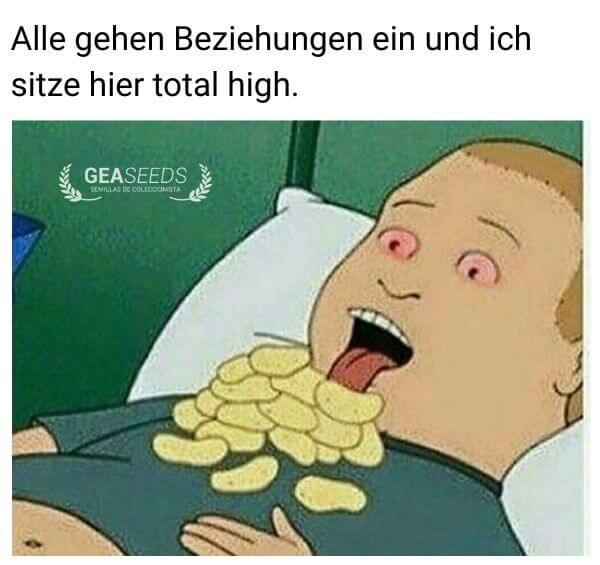 Lustiges Meme über jemanden, der total high ist, während alle anderen Beziehungen eingehen