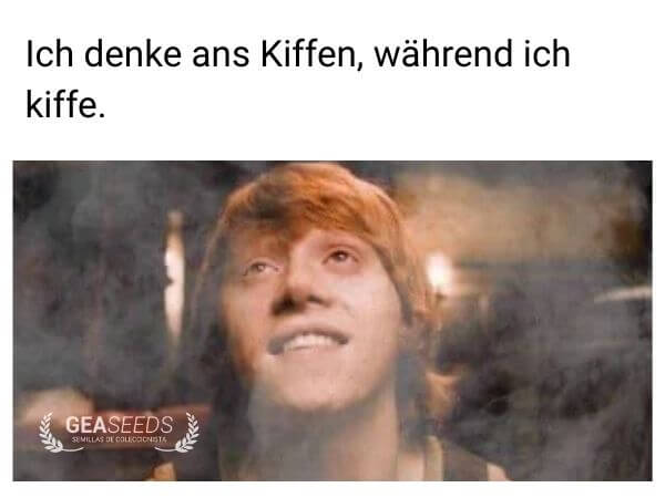 Lustiges Meme über jemanden, der ans Kiffen denkt, während er bereits kifft