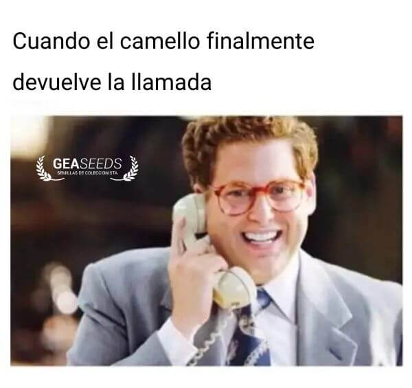 Persona feliz con el teléfono en la oreja