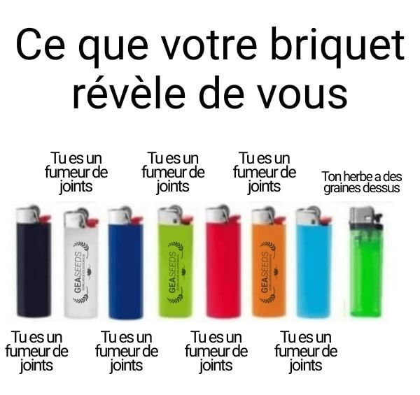Mème humoristique avec différents briquets et ce qu’ils révèlent sur les fumeurs de joints
