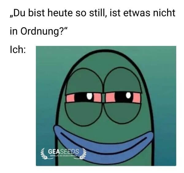 Lustiges Meme mit einer Figur mit roten Augen, wenn jemand fragt warum man so still ist
